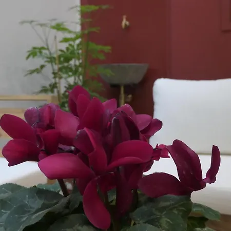 Appartement Opera - Tosca